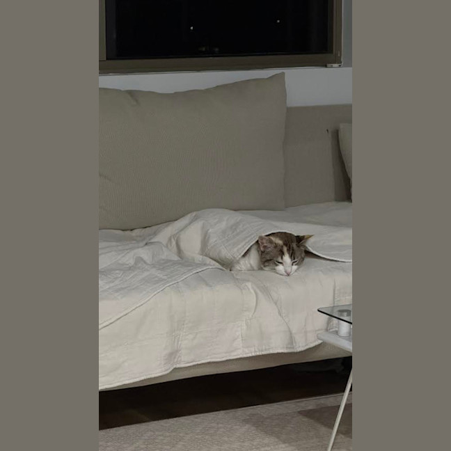 Photo of Millie