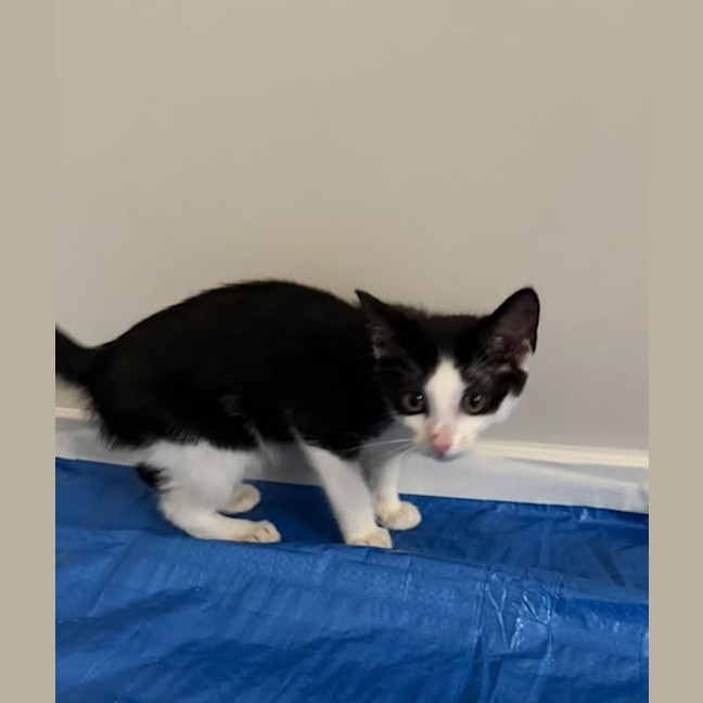 Photo of Charlie