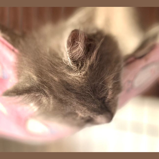 Photo of Binx Clarke