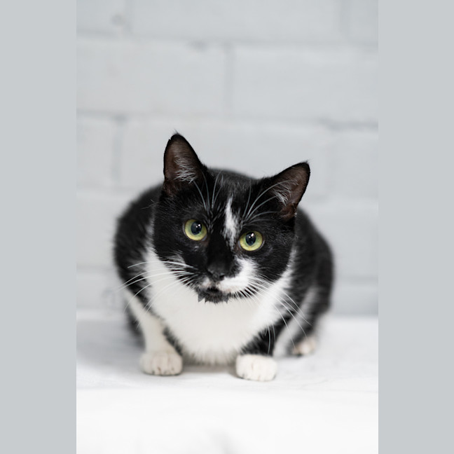 Photo of Morticia