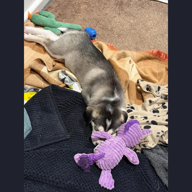 Photo of Arya