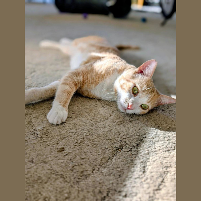 Photo of Mr Bubbles
