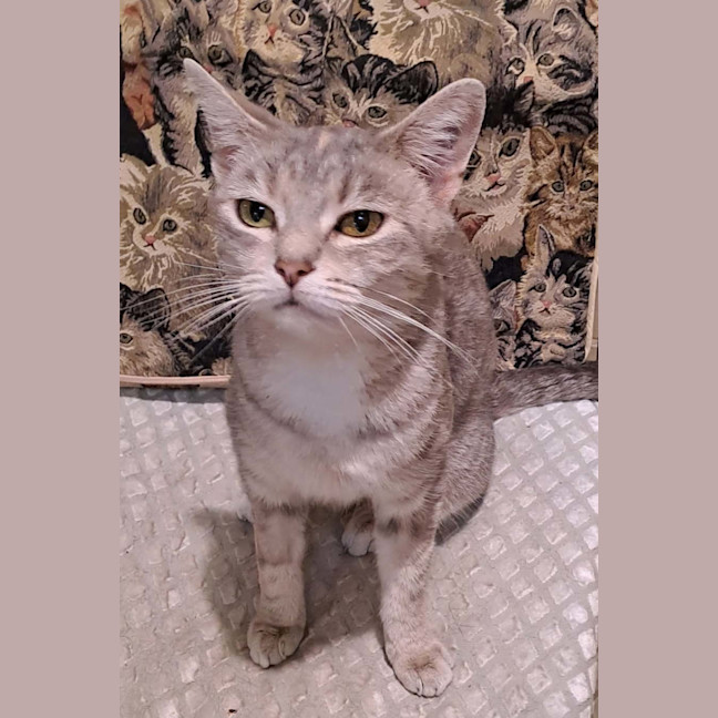 Photo of Annie