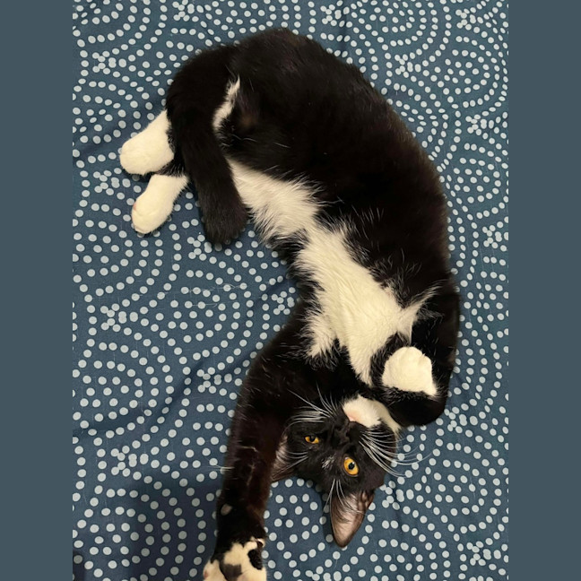 Photo of Luna 
