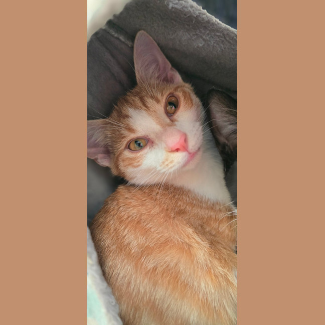 Photo of Aubrey