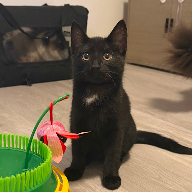 Photo of Banksy 🎨