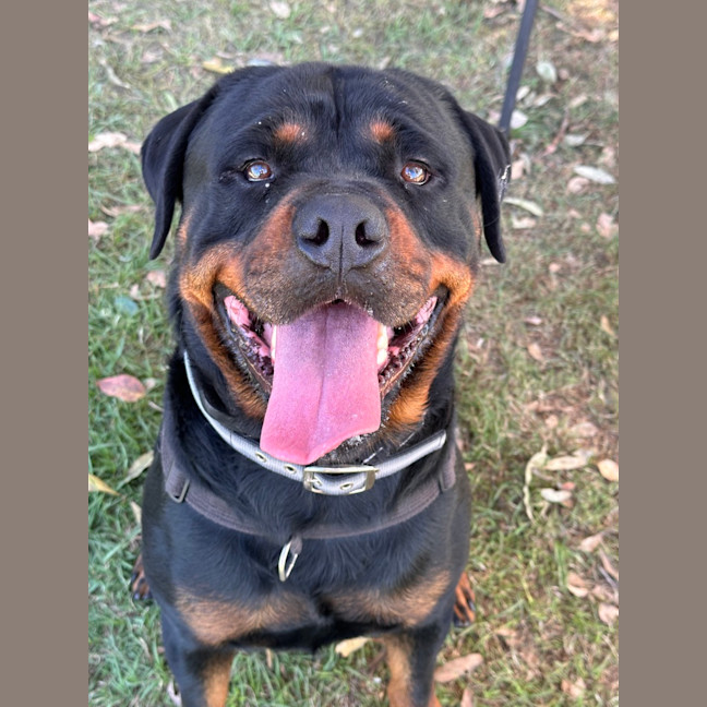Photo of Max