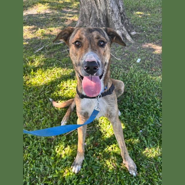 Photo of Zeus