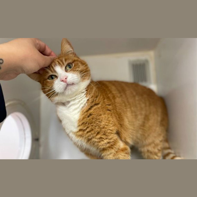 Photo of Ernie