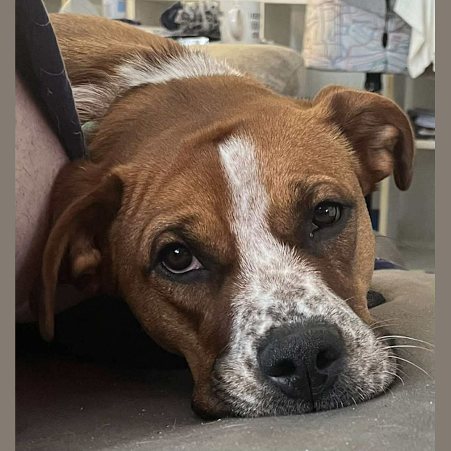Photo of Lola