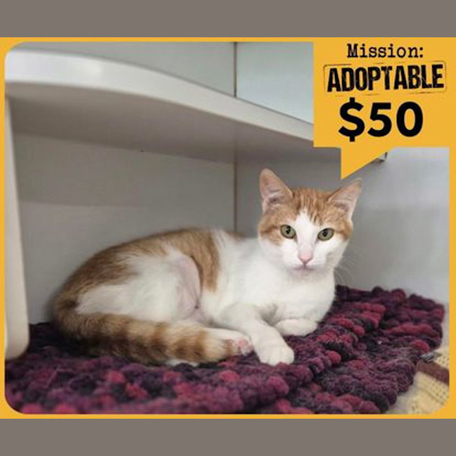 Photo of Jasper