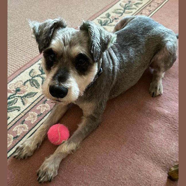 Photo of Max
