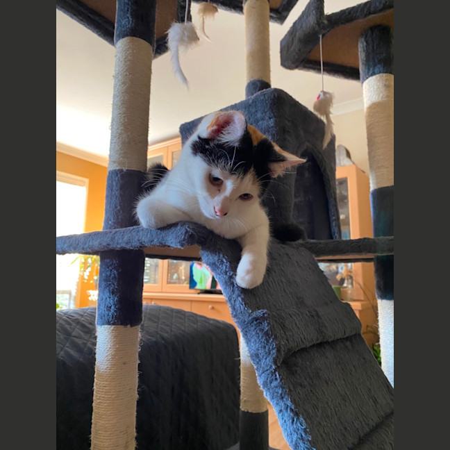 Photo of $250  Emma ❤️