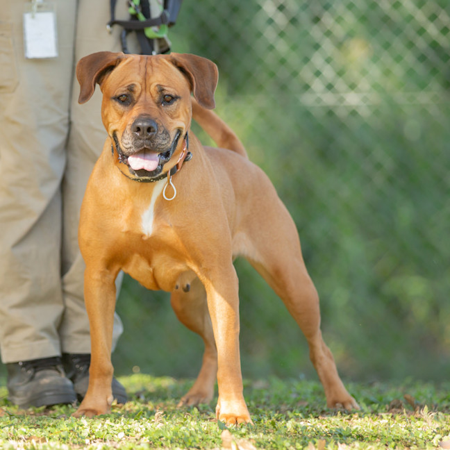 Photo of Bindi