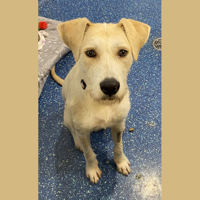 Photo of Grace Kelly