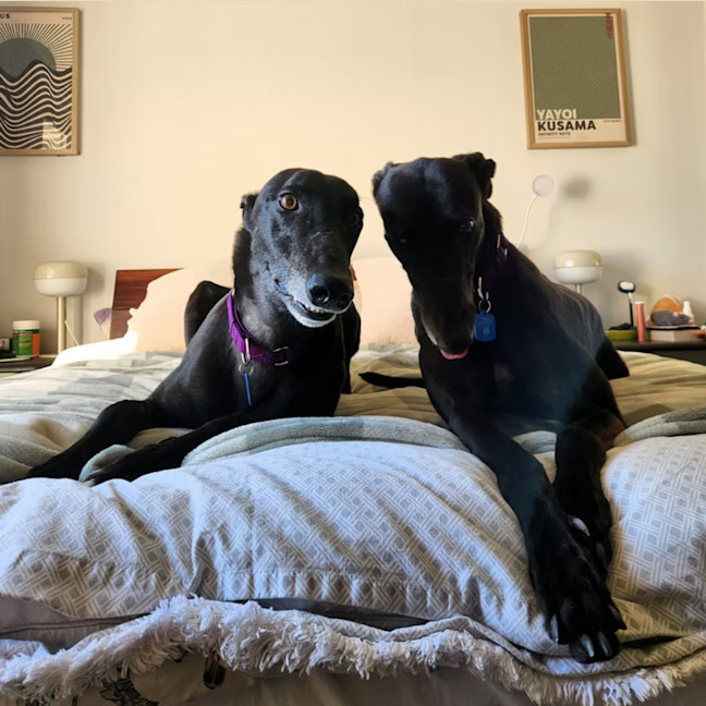 Photo of Blackberry & Raspberry