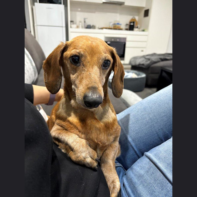 Photo of Hans Russelton