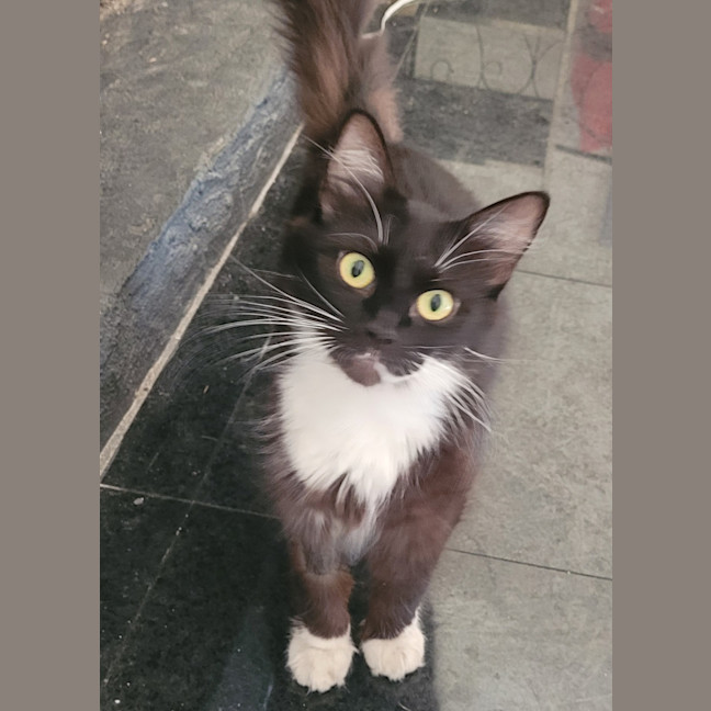 Photo of  💗 Vanessa 🐈‍⬛