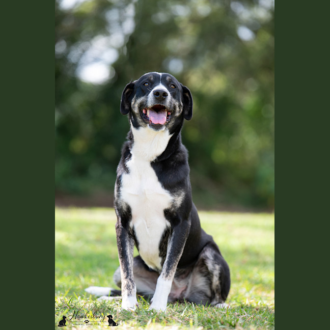 Photo of Daisy