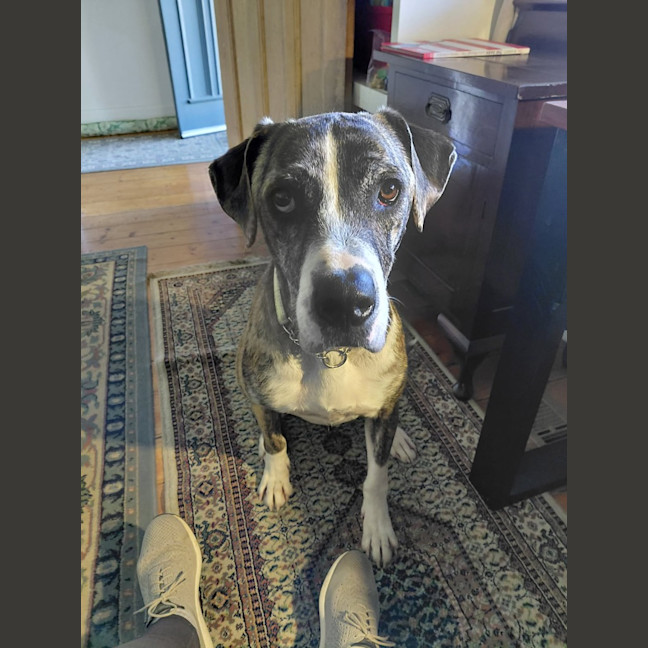 Photo of Duke