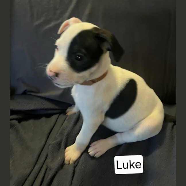 Photo of Luke