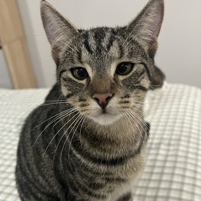 Photo of Reggie