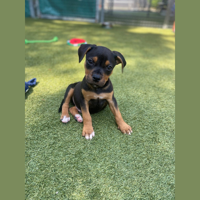 Photo of D1196 Wallace