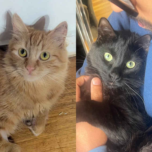 Photo of River & Genevieve