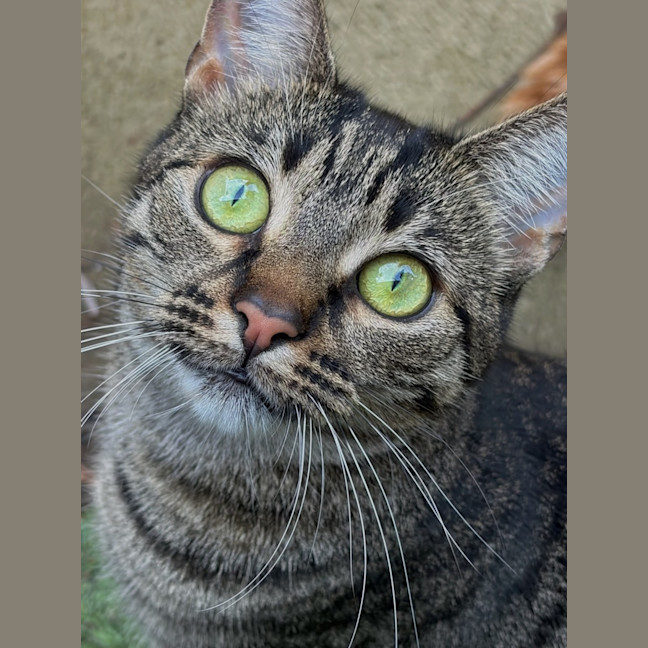 Photo of Polly