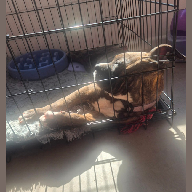 Photo of Gabby
