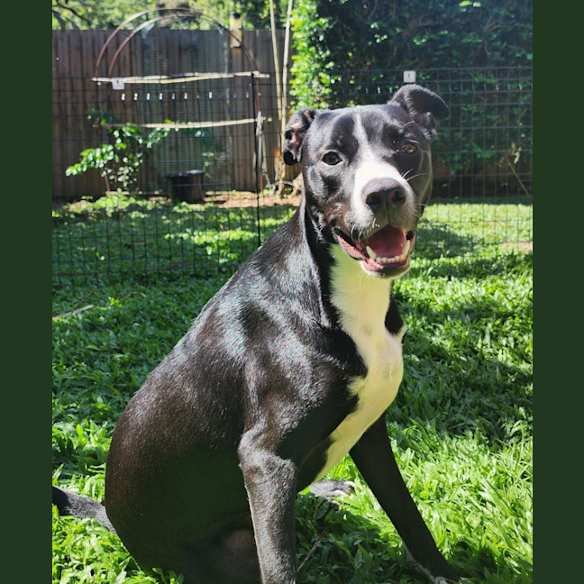 Photo of Jasper
