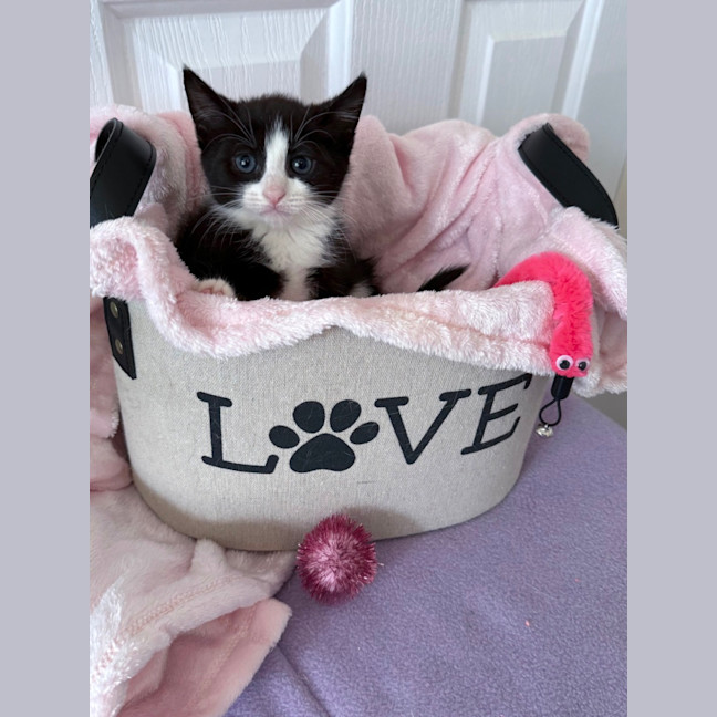 Photo of Addy 🌸🌸