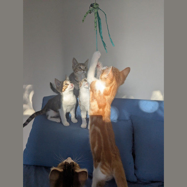 Photo of Stanley Golden