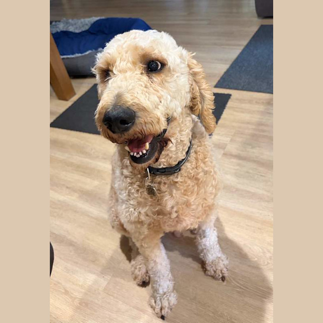 Photo of Murphy