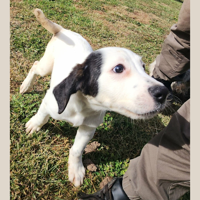 Photo of Dora