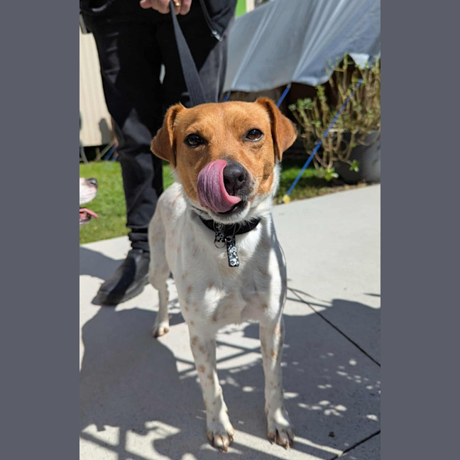 Photo of Athos & Rosie