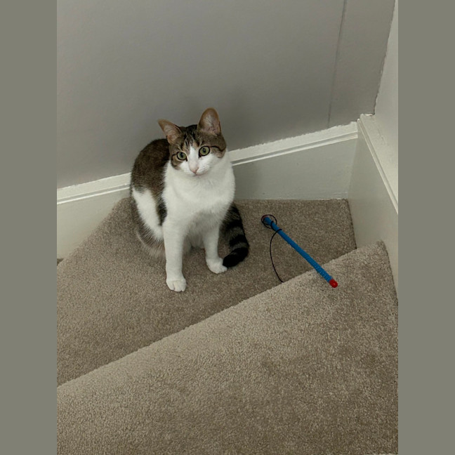 Photo of Pippy