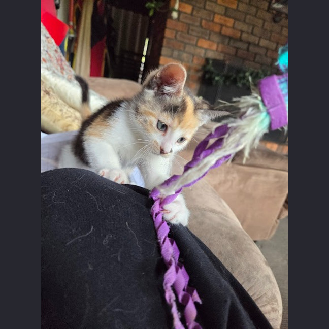 Photo of Sophie