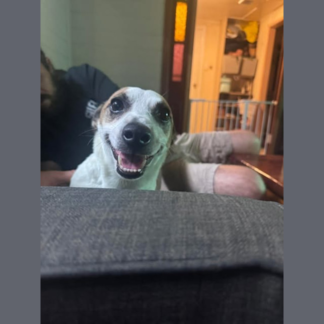 Photo of Gus