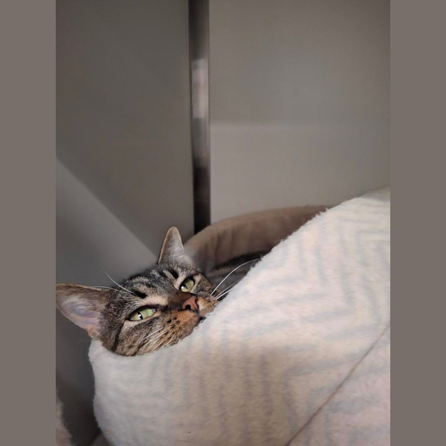 Photo of Polly