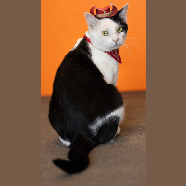 Photo of 🤗 Snugglepants 🤗👖