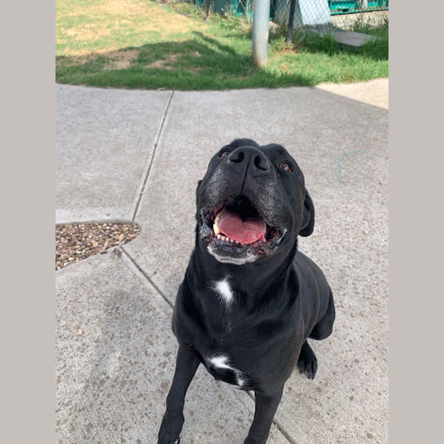 Photo of Rosco