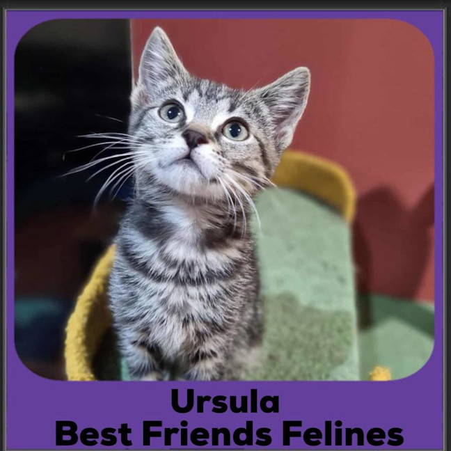 Photo of Ursula 