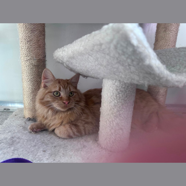 Photo of Ed