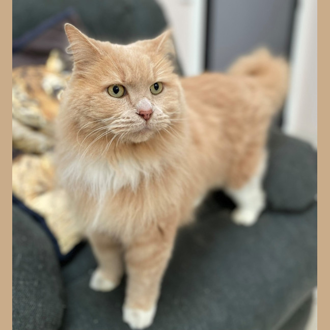 Photo of Garth (0030)