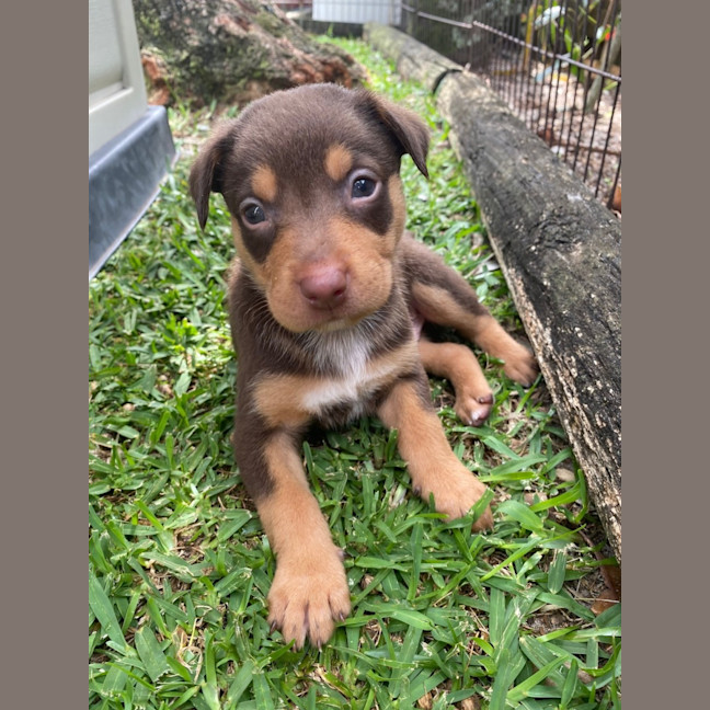 Photo of D1054 Keith