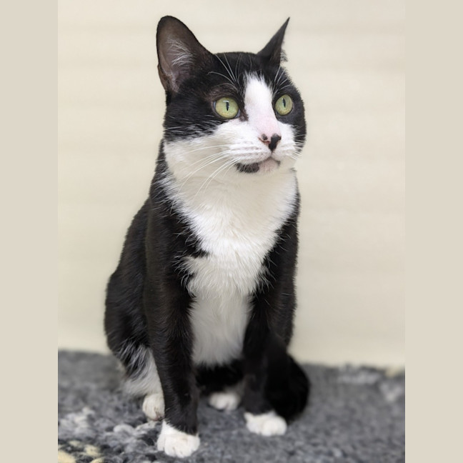 Photo of 💕 Yin 5660 💕