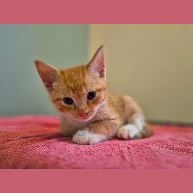 Photo of 🧡 Cinnabon 🤍