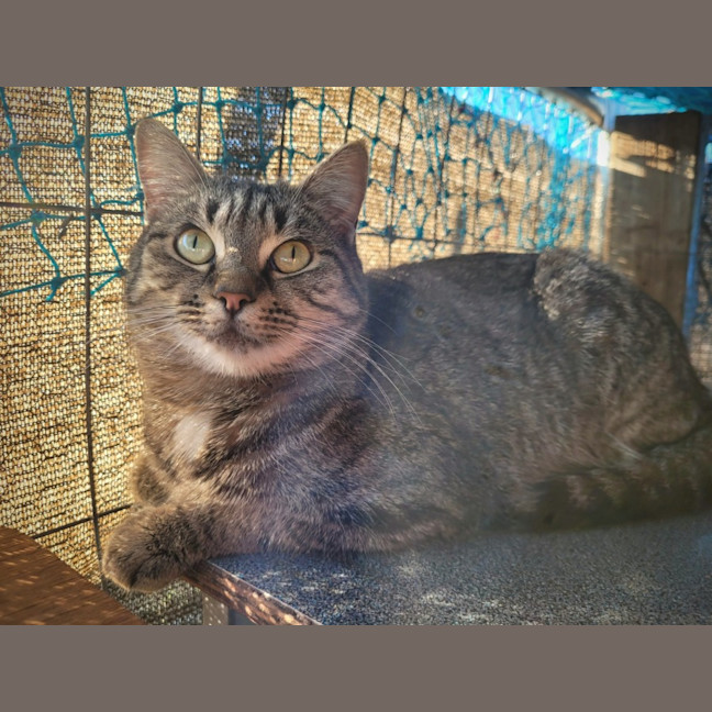 Photo of Gaia