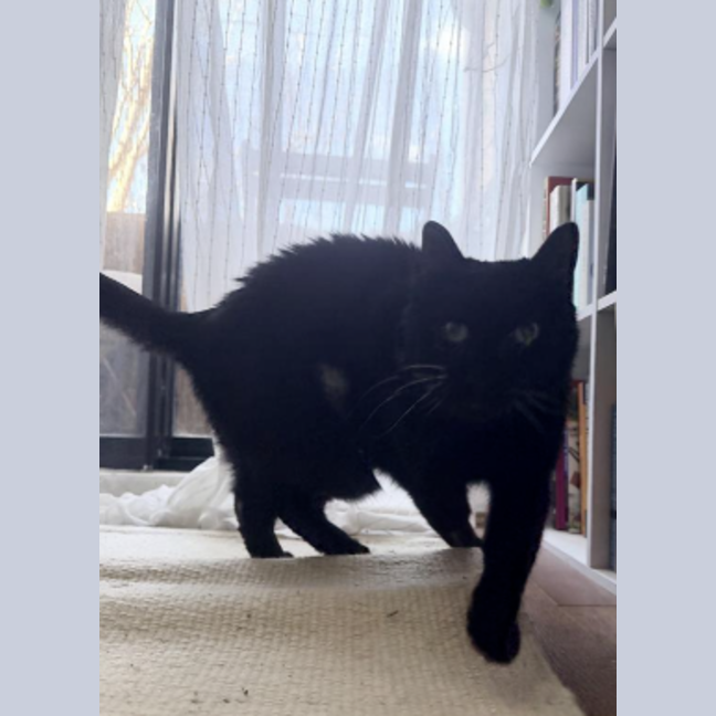Photo of Suzie